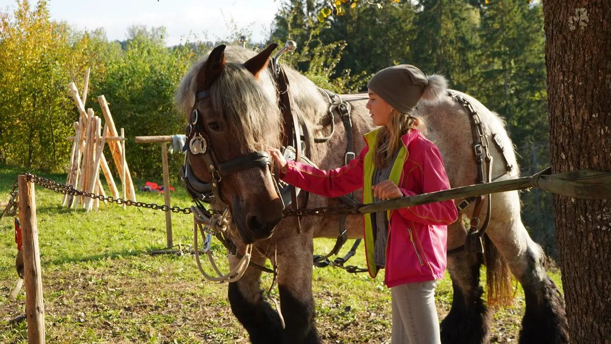 Ein Mädchen, das ein Pferd streichelt. 